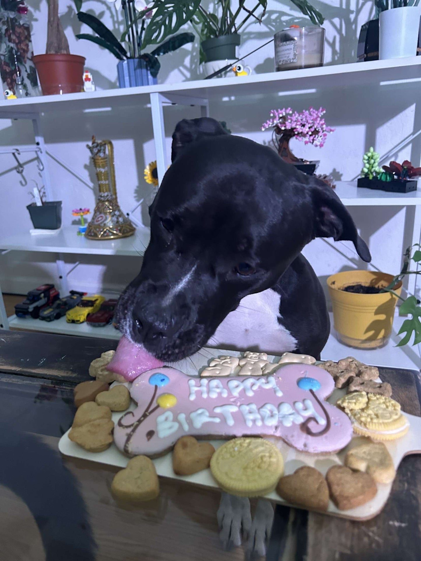 Birthday charPOOCHerie board