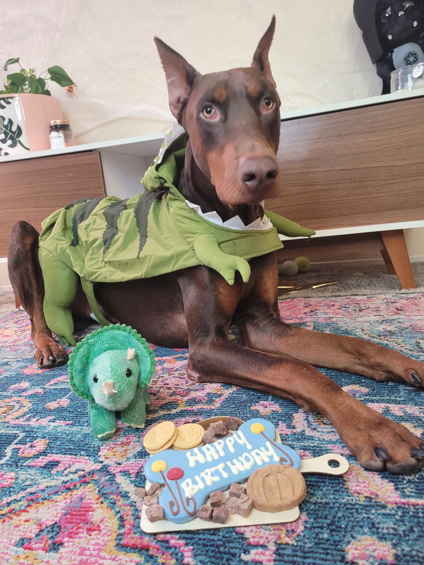 Birthday charPOOCHerie board
