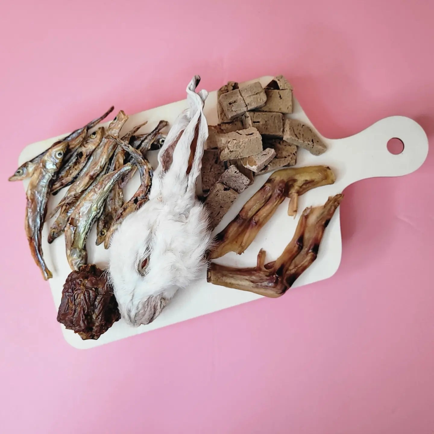 CARNIVORE Rabbit head board