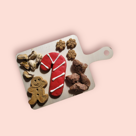 CHRISTMAS Candy Cane