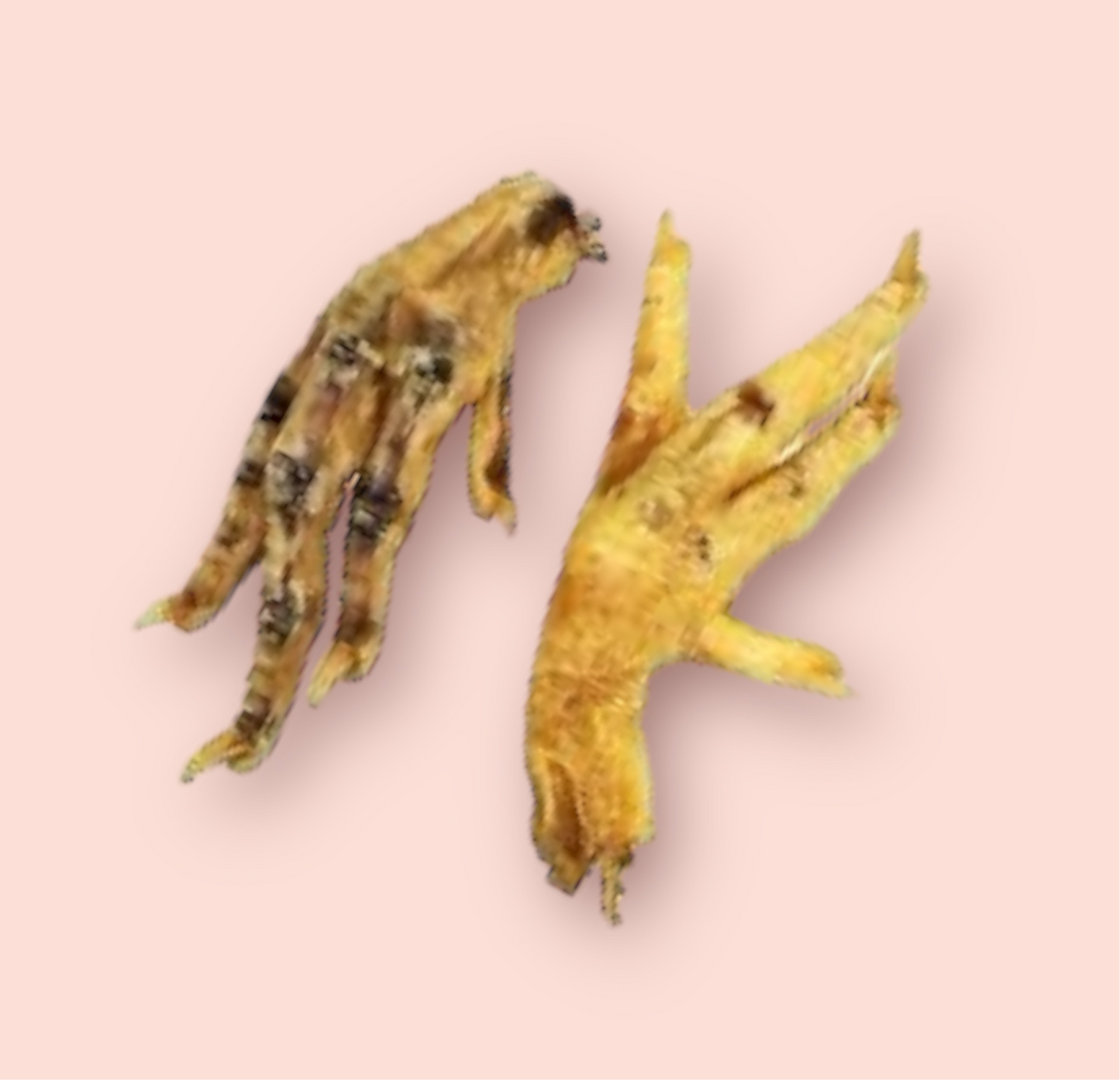 Dehydrated Chicken Feet