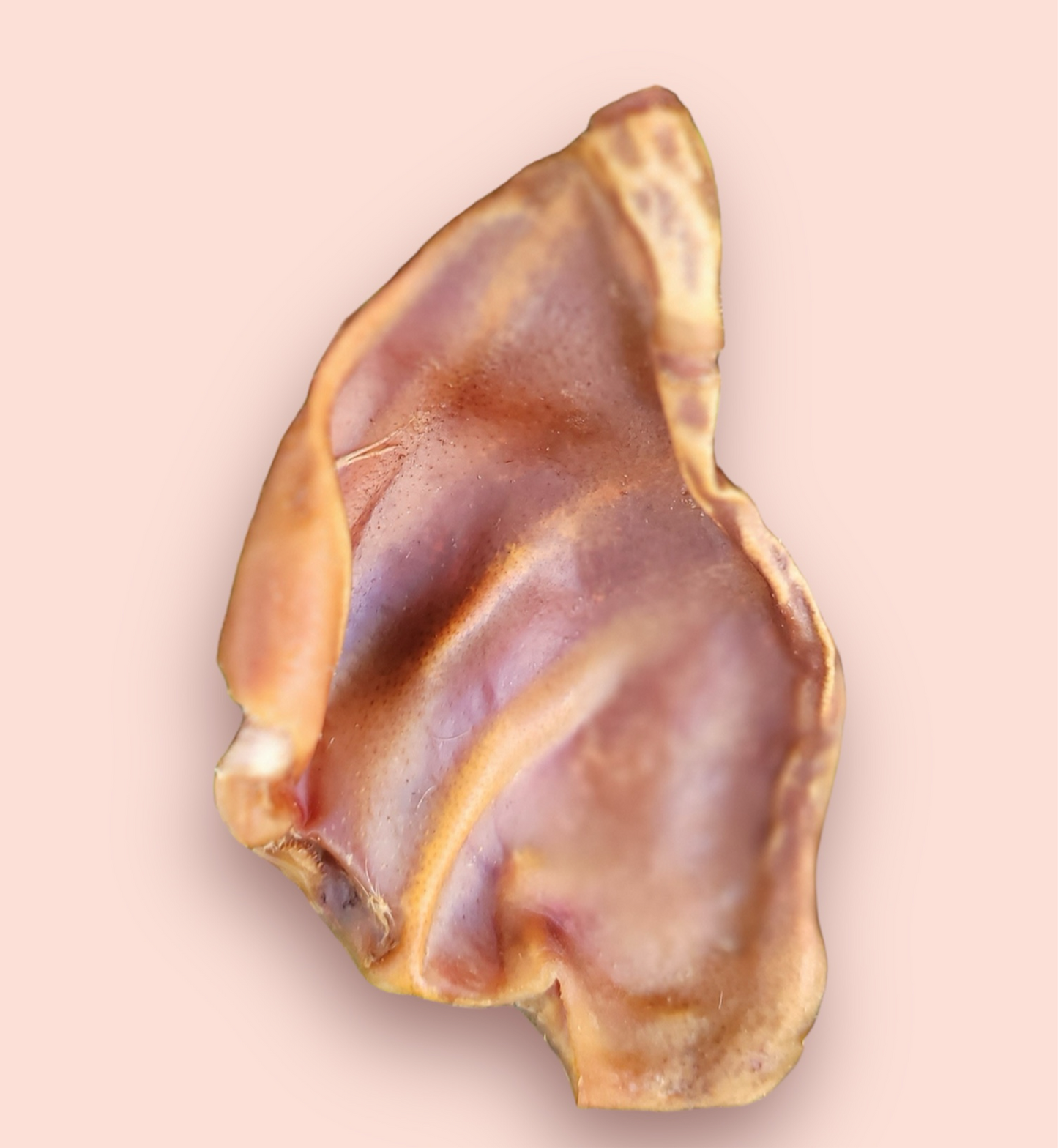 Dehydrated Pig Ears