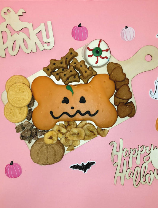 SPOOKY Jack-O-Lantern charPOOCHerie